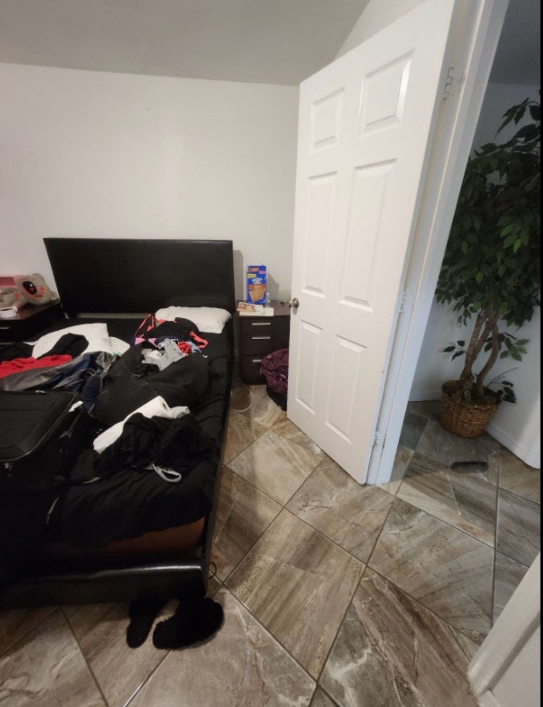 Listing image for William S